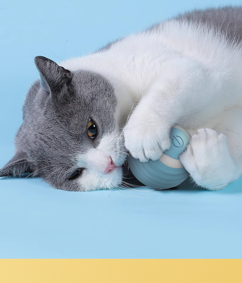 Smart Electric Cat Toy Rolling Ball Chew Proof Interactive Pet Toy for Cats