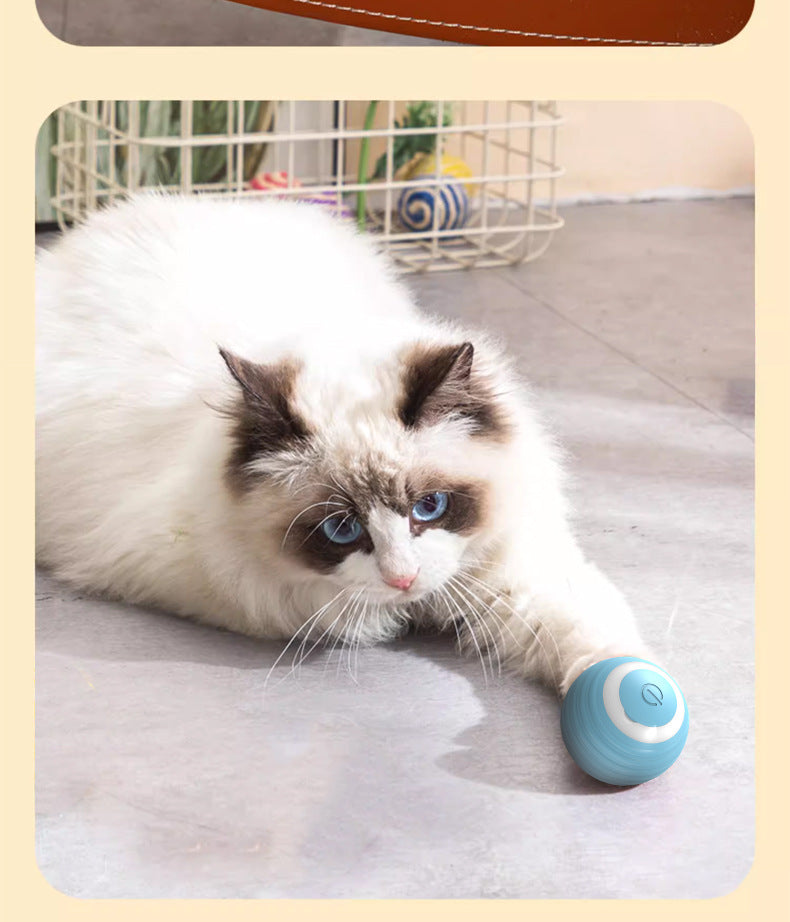Smart Electric Cat Toy Rolling Ball Chew Proof Interactive Pet Toy for Cats