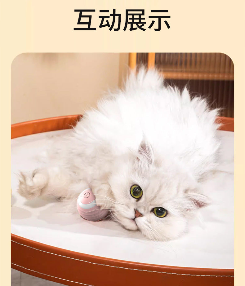 Smart Electric Cat Toy Rolling Ball Chew Proof Interactive Pet Toy for Cats