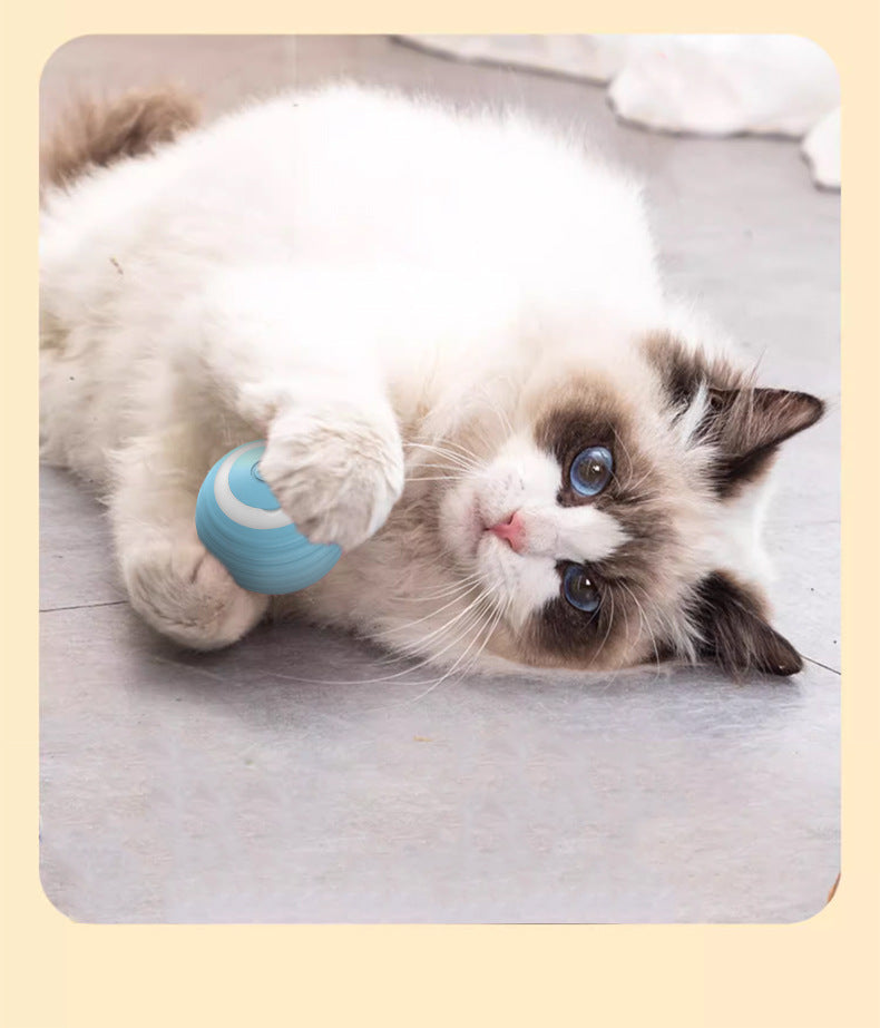 Smart Electric Cat Toy Rolling Ball Chew Proof Interactive Pet Toy for Cats