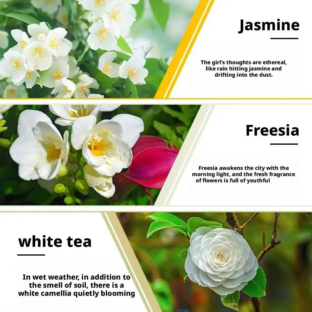 Car Air Fresheners Car Electric Air Diffuser Aroma Car Air Vent Humidifier Mist Aromatherapy Oil Light Starry Sky Summit