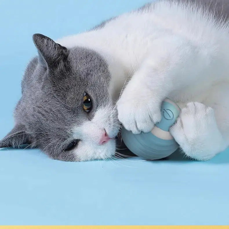 Smart Electric Cat Toy Rolling Ball Chew Proof Interactive Pet Toy for Cats